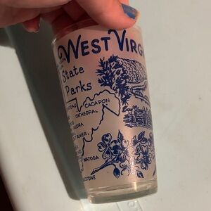 West Virginia State Parks Souvenir Glass